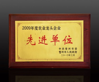 資質(zhì)榮譽(yù)