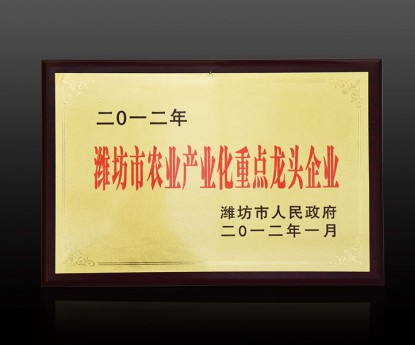 資質(zhì)榮譽(yù)