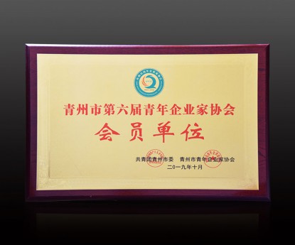 資質(zhì)榮譽(yù)